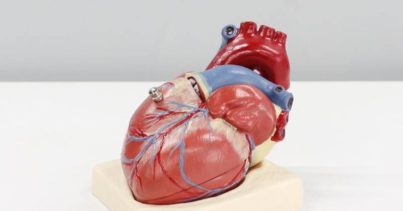 Unsplash/AliHajiluyi